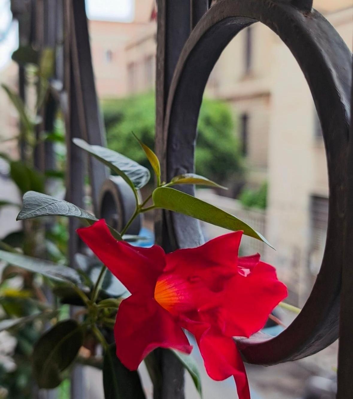 Art Palace Apartment City Center Catania Ngoại thất bức ảnh